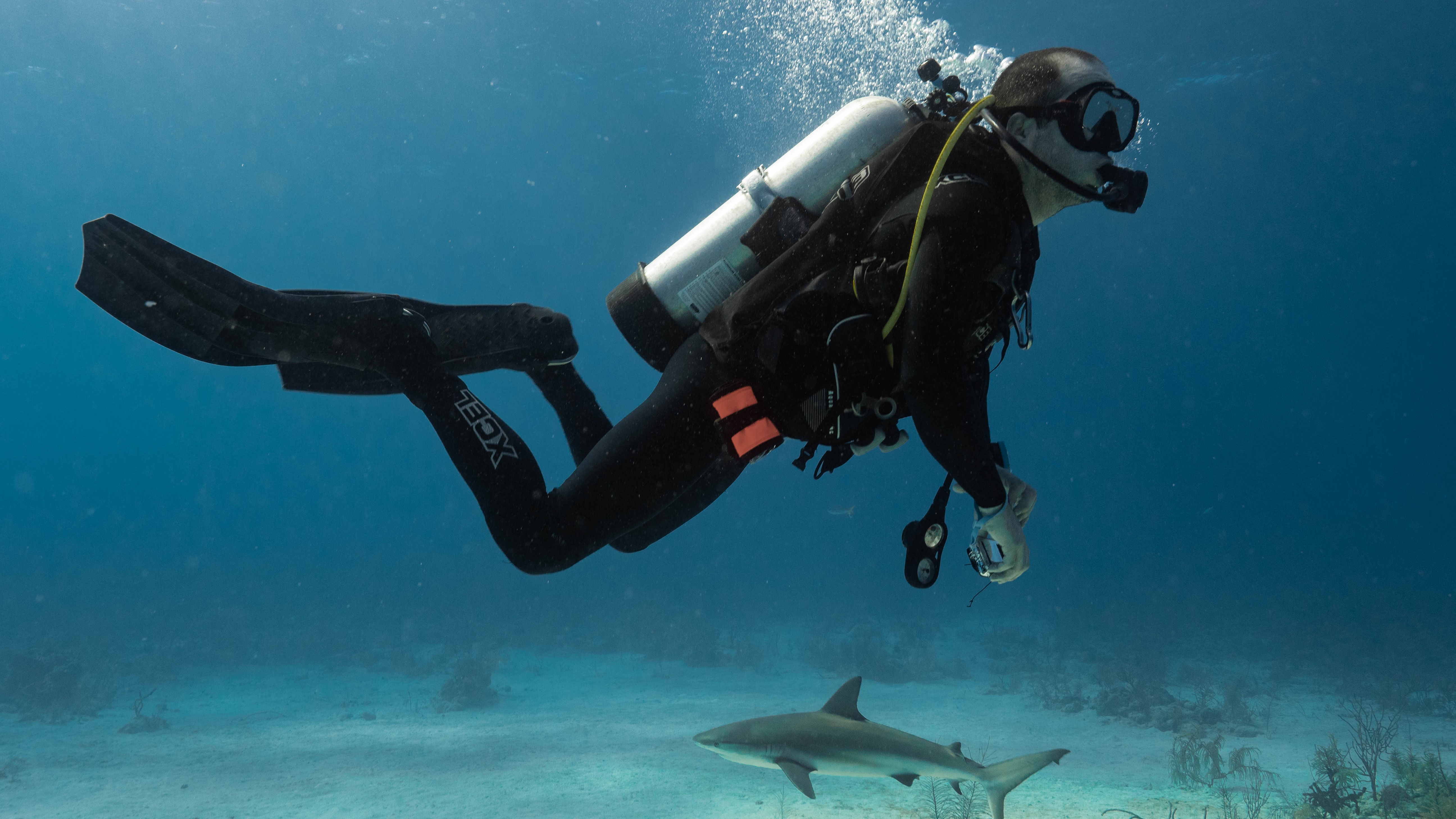 Diving alongside a shark during fieldwork
