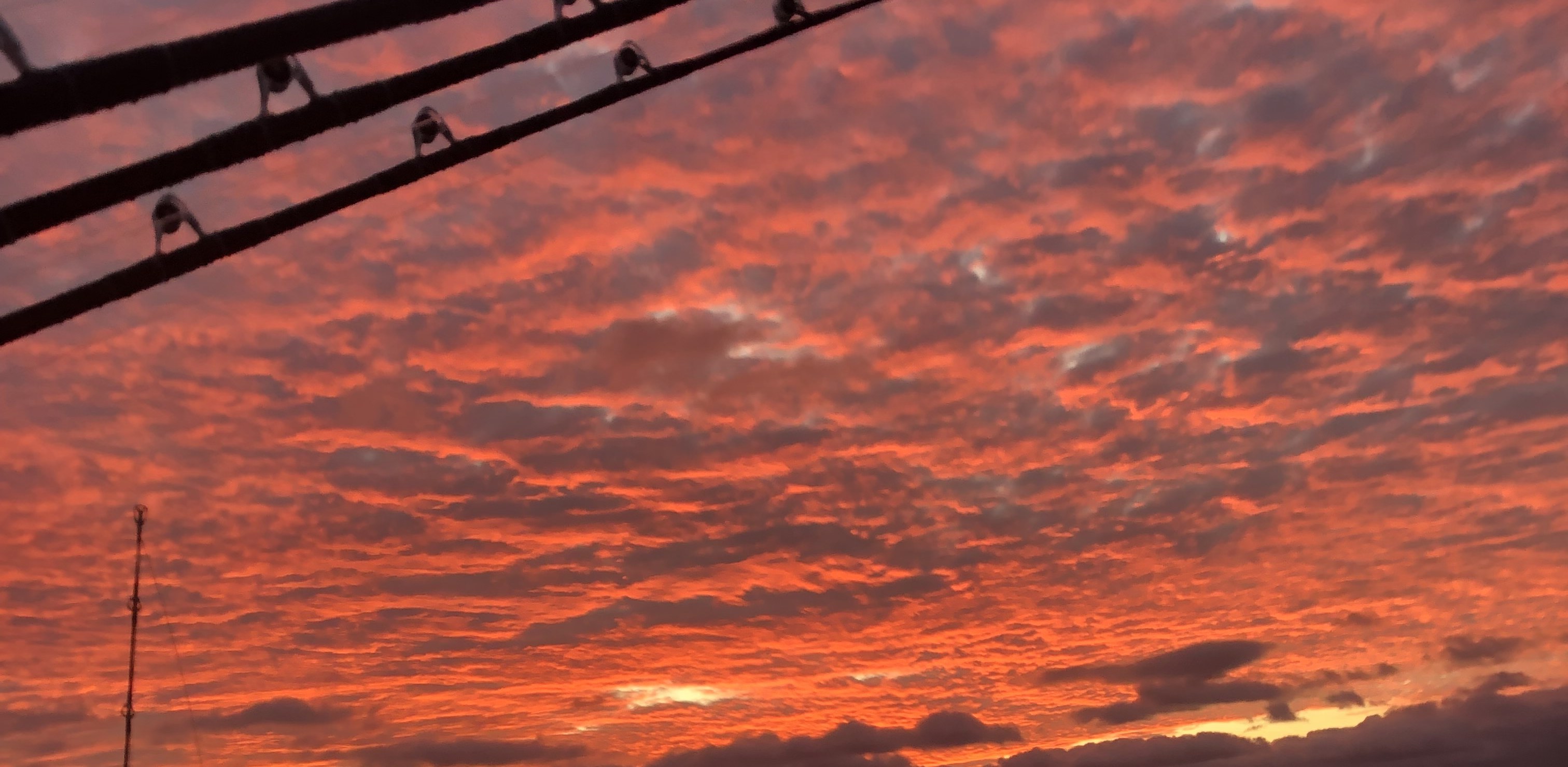 Sunset from the back of the research boat
